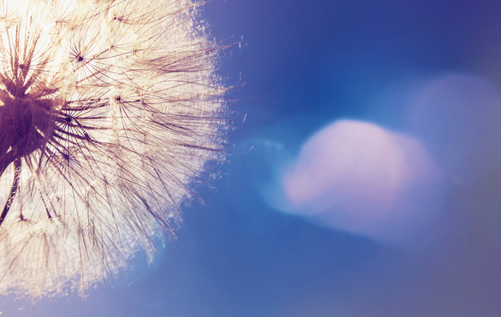 PP电子5金狮·(中国区)游戏官方网站