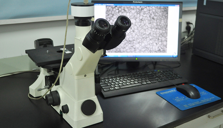 PP电子5金狮·(中国区)游戏官方网站